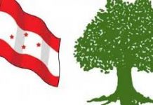 नेपाली कांग्रेसकाे विरोध प्रदर्शन २० वटै पालिकामा