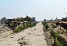 ठुलो तामधामका साथ धान दिवस मनाई रहदा बागमती सिँचाई आयोजनाले नहरमा पानी नछाड्दा किसानले धान रोप्नै पाएन्न