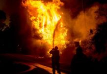 भतिजोले लगाए काकाको टेम्पोमा आगो