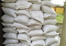 महोत्तरी प्रहरीले गर्यो २०३ बोरा केराउ (मटर )बरामद