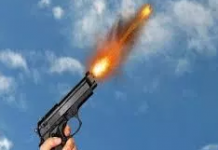 काठ तस्कर र प्रहरीबिच झडप,गोली चल्यो