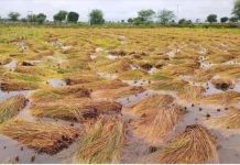 क्षतिको तथ्यांक संकलन गर्ने जिम्मा प्रदेश सरकारलाई