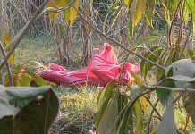 नहरमा पुरुषको शव फेला पर्याे,हत्याको आशंका