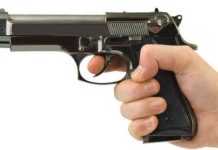 पेस्तोलसहित युवक पक्राउ