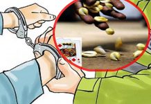 नगद ४ लाख ८४ हजार ५० रूपैंया सहित १२ जना जुवाडे पक्राउ