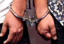 गाँजासहित अधिकारी दम्पती पक्राउ