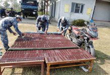 सशस्त्र प्रहरी बलले गर्याे ; ठूलाे परिमाणमा लागूऔषध नाईट्राभेट बरामद्
