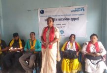 टेवाद्वारा लालबन्दीमा सार्वजनिक सुनुवाई ; महिला मुद्दामा केन्द्रित