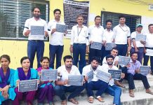 विभिन्न माग राख्दै; हरिपुरका कर्मचारी आन्दाेलीत