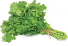 स्वाद मात्रै बढाउँदैन हरियो धनियाँले, यस्ता छन् फाइदा