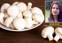 च्याउ किन खाने ? यस्ता छन् फाइदा