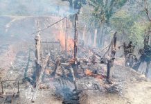जंगलबाट फैलिएको आगोले;बाख्रा फार्म खरानी