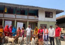 ईश्वरपुरमा १५ विपन्न परिवारले पाए;बाख्रा