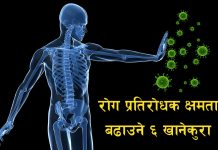 रोग प्रतिरोधक क्षमता बढाउने ६ खानेकुरा