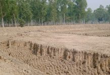 सर्लाहीमा खुलेआम वन क्षेत्र उत्खनन्, वन कार्यालय बन्यो;मुखदर्शक