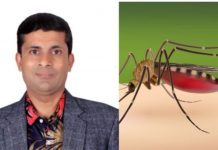डेंगु रोकथामका उपायहरु
