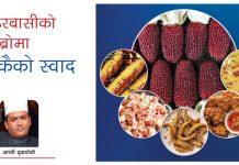 मकै संस्कृतिः गाउँमा भन्दा शहरमा लोकप्रिय