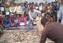 सर्लाहीका माछा पालक किसानले गरे; सडकमा माछा फालेर प्रदर्शन