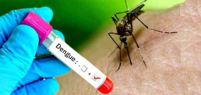 dengue--1