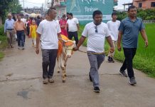 लालबन्दीमा पनि मनाइयो,गाईजात्रा पर्व