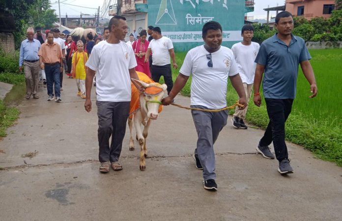 inbound7456034759573588779