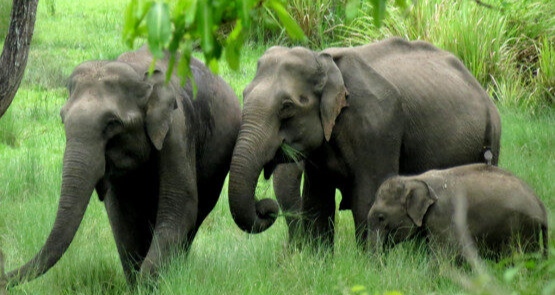 inbound4617510499240507153