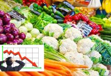 तरकारीको मूल्यमा ठूलो गिरावट; स्थानीय किसान मारमा