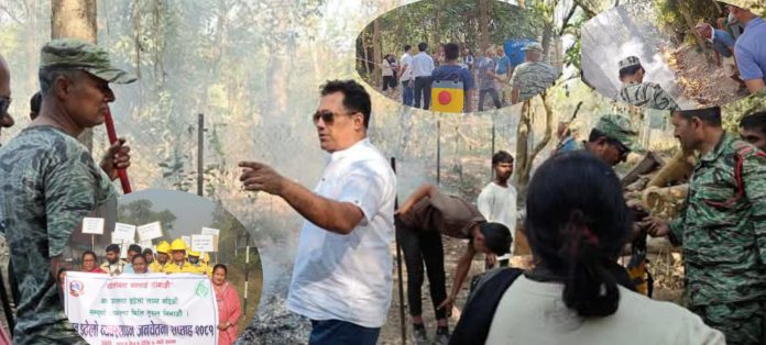 InShot_20250319_133122755