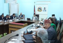 सरकारले हटायाेे,कार्यकारी निर्देशक पदबाट कुलमान घिसिङलाई