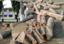 सागरनाथ परियोजनाले गर्याे; अवैध काठ बरामद