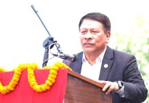 शहरमा सडक बनाउँदा युटिलिटी करिडाेरकाे अवधारणा अघि बढाओै : उपप्रधानमन्त्री सिंह