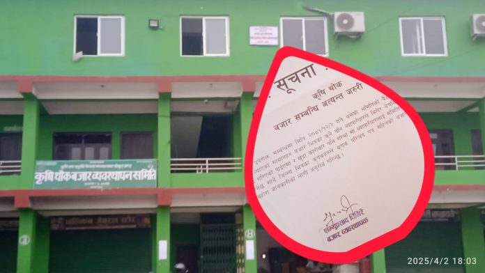 InShot_20250402_191915151