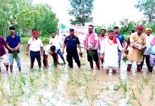 सर्लाहीमा पनि २२ औं राष्ट्रिय धान दिवस विविध कार्यक्रम गरि मनाइयो