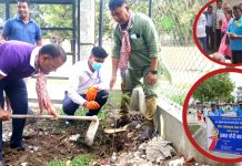 विश्व वातावरण दिवस: हरिपुर नगरपालिका लगायतका संघसंस्थाले गरे, वृक्षारोपण