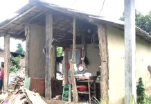 जंगली हात्तीको आतंकले चन्द्रपुर वासिमा त्रास