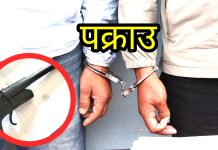 कटुवा पेस्तोलसहित दुई जना पक्राउ