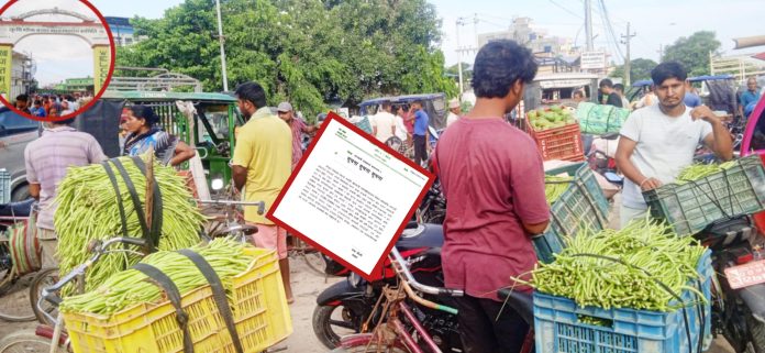 InShot_20250720_181044035