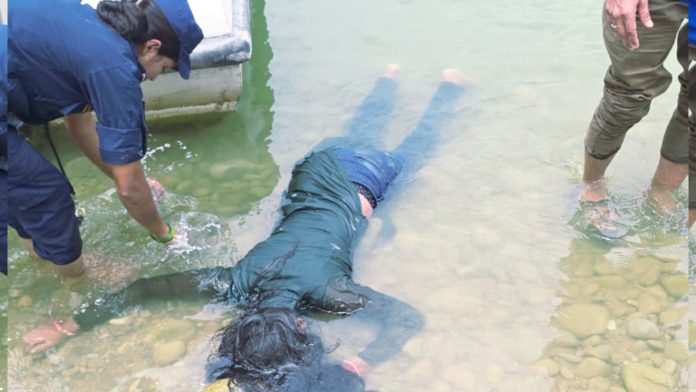 InShot_20250730_204134157