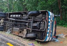 सर्लाहीमा यात्रुबस पल्टियाे , १९ जना घाइते ; उपचार चल्दै