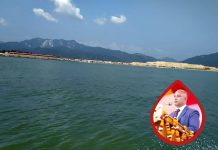 भरत ताल भ्रष्टाचार प्रकरण :भरत थापासहित तीन जनालाई विशेष अदालतले गर्याे दोषी ठहर