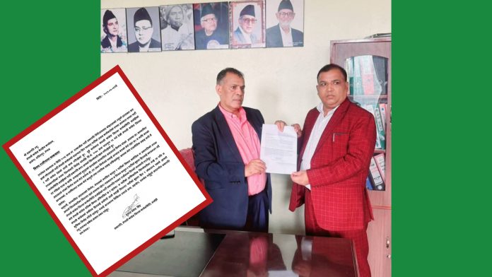 InShot_20250822_160920357