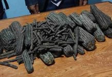 पर्सामा खेतबाट ५४ किलो चरेस बरामद