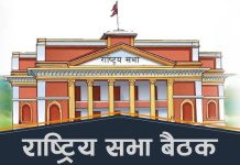 राष्ट्रियसभा बैठक, नागरिकता बिधेयक पारित गरिने