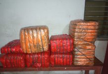 सर्लाहीमा ५५ किलो बढी लागूऔषध गाँजासहित एक युवक पक्राउ