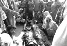 सर्लाहीमा माटोको ढिस्कोले पुरिँदा चार जनाको मृत्यु