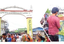 थोक बजारमै महँगियो हरियो तरकारी