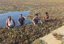 पर्सा गाउँपालिकामा पोखरी सरसफाई : अध्यक्ष आफै पसे पाेखरी