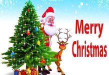 सर्लाहीमा पनि हर्षोल्लासका साथ क्रिसमस दिवस मनाइँदै