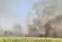 सर्लाहीको गोडैतामा उखु बारीमा आगलागी, १ विघा बराबरको उखु जलेर नष्ट